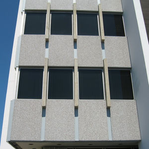 立面板 1