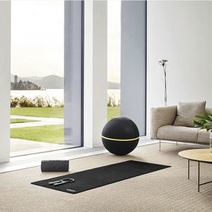 大型普拉提健身球 1
