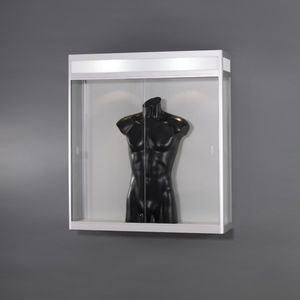 现代风格玻璃柜 1