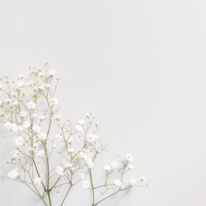 瓷质瓷砖