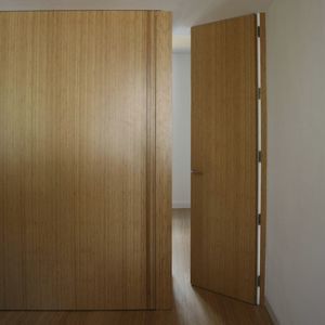 室内门 1