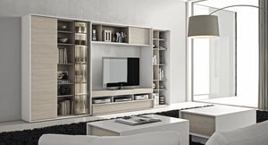 经典多媒体设备用家具 / 现代风格 1
