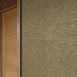室内墙面材料