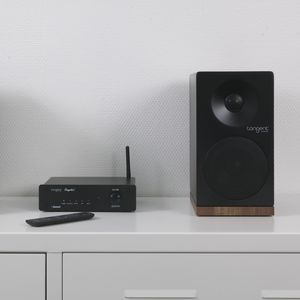 音频扩音器 1