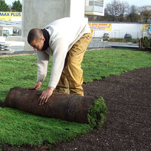 外延植被屋顶