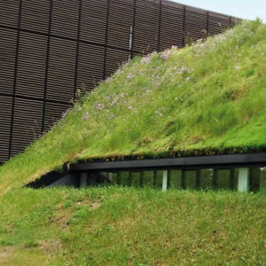 外延植被屋顶
