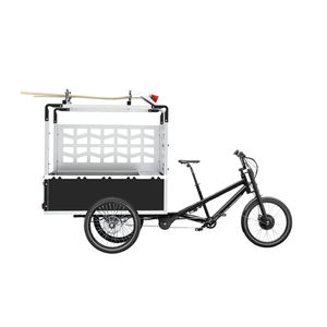 电动玩具车
