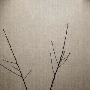 现代风格墙纸