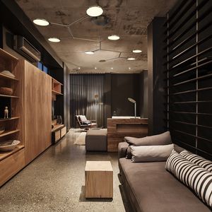 悬挂式灯具 / LED式 / 铝制 / 抛光铝