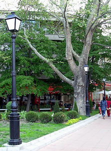 市政路灯