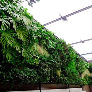 活植物绿植墙