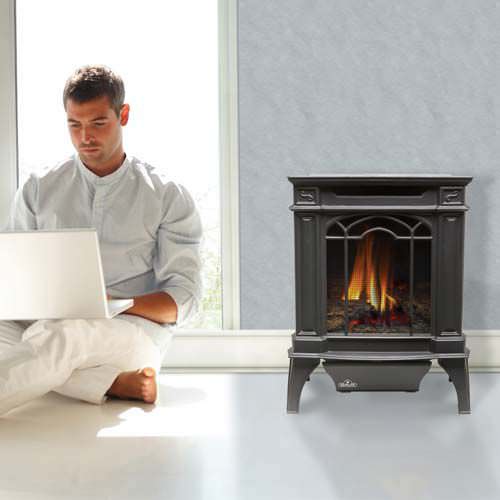燃气采暖炉 - GVFS20 - Napoleon Fireplaces - 5 kW...10 kW / 传统风格 / 铸铁