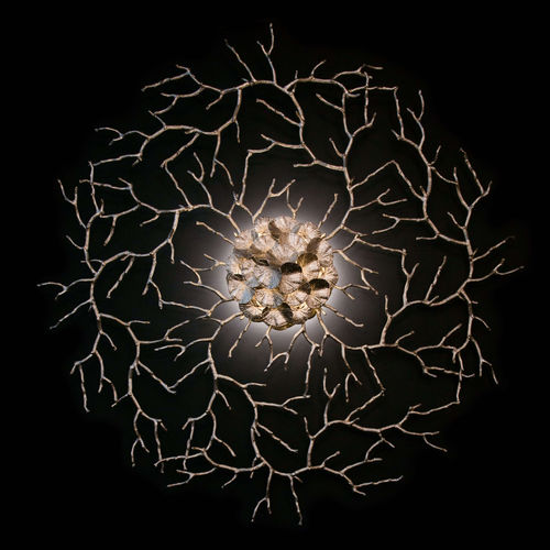 传统风格壁灯 - ZOA EYE L - Serip - 室内 / 金属 / 玻璃