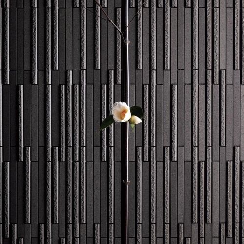 陶瓷砖 - OMBRE BORDER - INAX - 哑光 / 纹理 / 室内