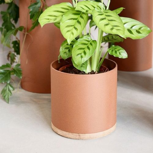 铝花盆 - Plant Collectors - VIJ5 - 栎木 / 独立式 / 圆形