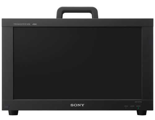 固定显示器 - BVM-HX1710N - Sony Broadcast & Professional Europe CCTV - 液晶 / 彩色 / 宽屏