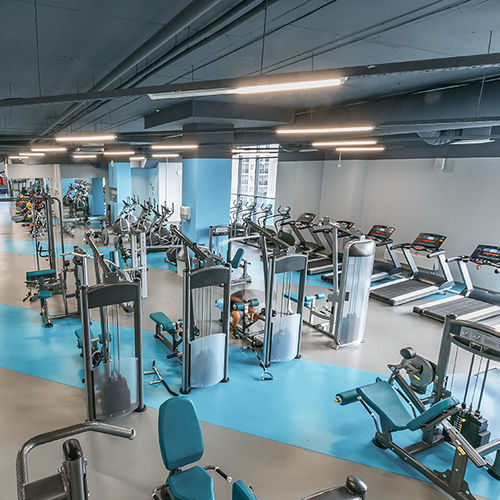 室内运动地板 - OMNISPORTS COMPACT - Tarkett Sports Indoor - 乙烯基 / 用于田径运动 / 体育活动用