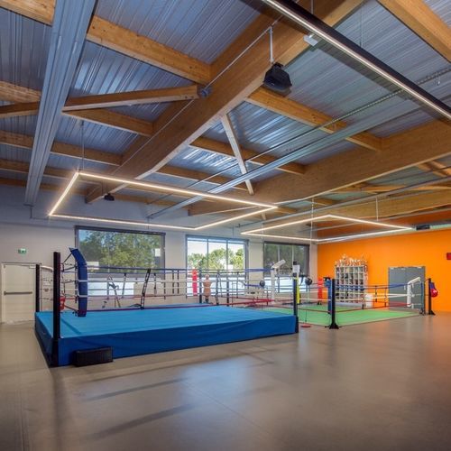 室内运动地板 - OMNISPORTS TRAINING  - Tarkett Sports Indoor - 乙烯基 / 学校用 / 健康中心用