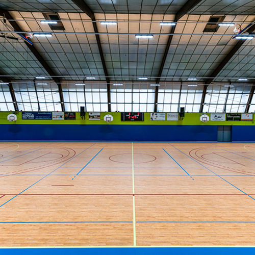 室内运动地板 - LUMAFLEX ENERGY OMNISPORTS REFERENCE MULTI-USE - Tarkett Sports Indoor - 木质 / 乙烯基 / 多功能体育馆