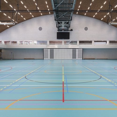 室内运动地板 - LUMAFLEX EVOLUTION LINOSPORT XF²  - Tarkett Sports Indoor - 漆布 / 学校用 / 体育活动用