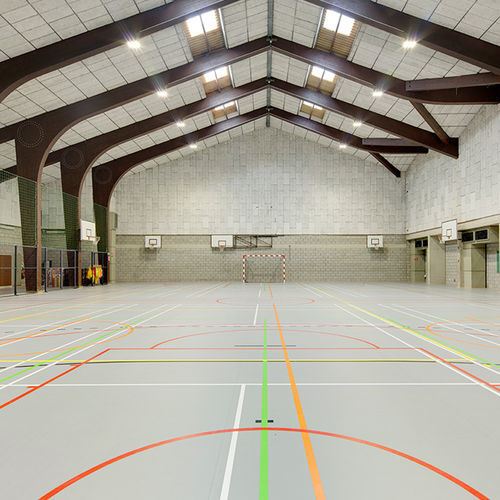 室内运动地板 - LUMAFLEX EVOLUTION OMNISPORTS COMPACT - Tarkett Sports Indoor - 木质 / 乙烯基 / 学校用
