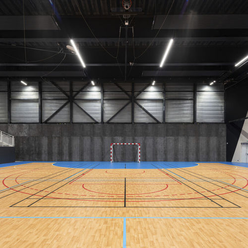 室内运动地板 - OMNISPORTS ACTIVE+  - Tarkett Sports Indoor - 乙烯基 / 学校用 / 用于田径运动
