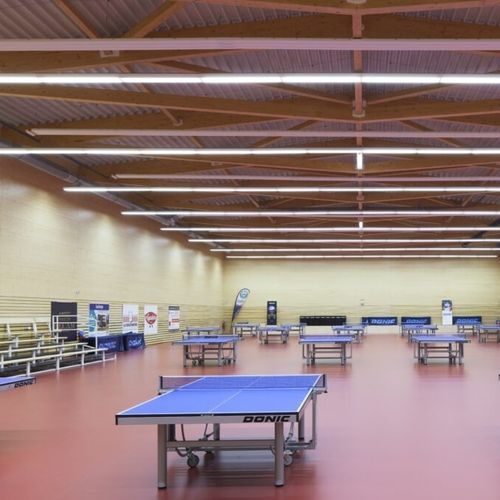 室内运动地板 - OMNISPORTS   - Tarkett Sports Indoor - 乙烯基 / 学校用 / 体育活动用