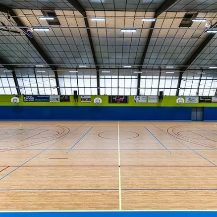 室内运动地板 - LUMAFLEX ENERGY OMNISPORTS REFERENCE MULTI-USE - Tarkett Sports Indoor - 木质 / 乙烯基 / 多功能体育馆
