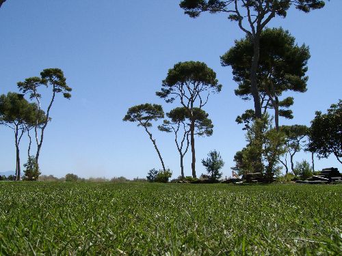 天然草坪 - PARK COMPOMED   - COVERGARDEN - 卷式
