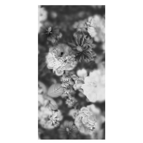 陶瓷装饰面板 - BLOSSOM A - Devon&Devon - 室内装潢 / 光滑 / 防火