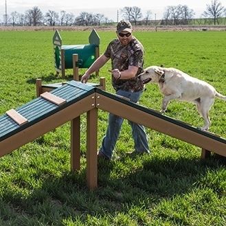 犬用障碍训练场 - HILLTOP CHALLENGE - progressive design playgrounds - 行人桥 / 户外