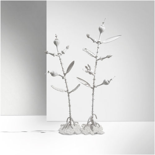 釉面陶瓷雕塑 - AMAZONIA - GIORGETTI - 花园