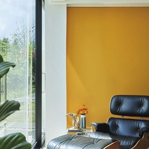 装饰油漆 - DUTCH - Farrow & Ball - 末道 / 室外 / 客厅