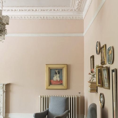 装饰油漆 - SETTING PLASTER - Farrow & Ball - 末道 / 室外 / 厨房