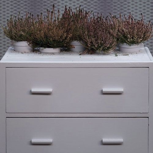 装饰油漆 - CALLUNA - Farrow & Ball - 末道 / 室外 / 浴室