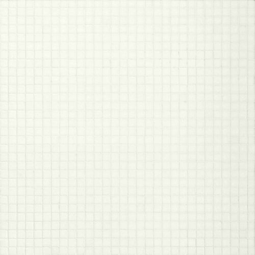 玻璃马赛克 - VTC 10.10 - BISAZZA - 3D / 磨砂 / 室内