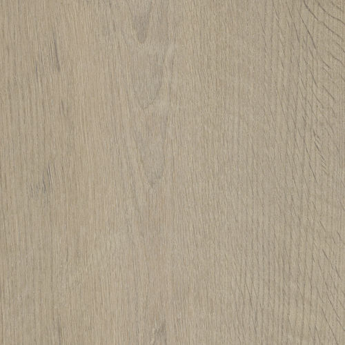 层压地板 - CONTINENTAL FADED SILVERGREY - EBONY AND CO - 栎木 / 天然油 / 古铜