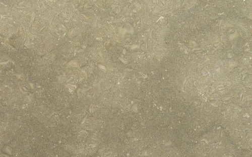 大理石地面 - FOSSIL GREEN - Margraf SpA - 方砖 / 拉绒 / 磨砂