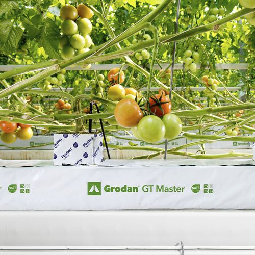 种植袋 - GT MASTER - GRODAN