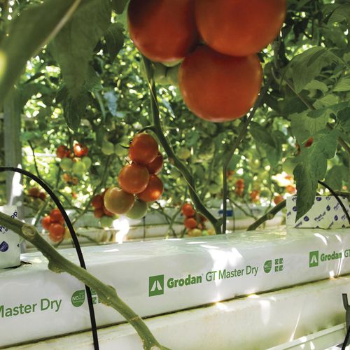 种植袋 - MASTER DRY - GRODAN