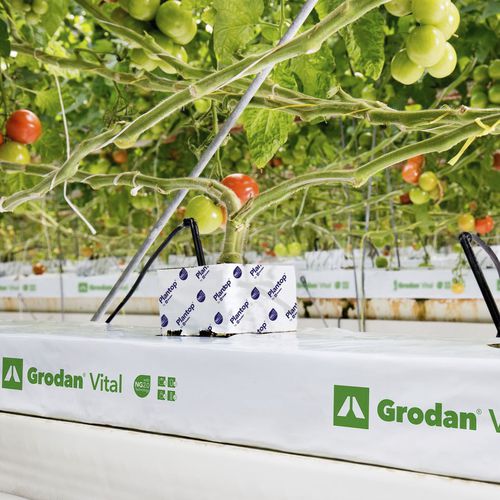 种植袋 - VITAL - GRODAN