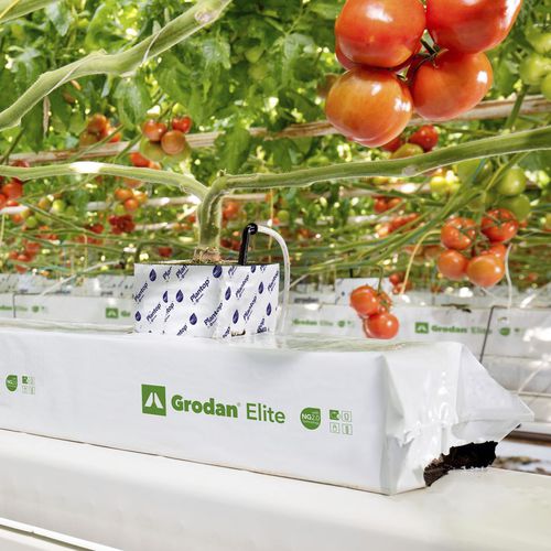 种植袋 - ELITE - GRODAN