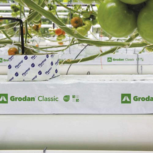 种植袋 - CLASSIC - GRODAN