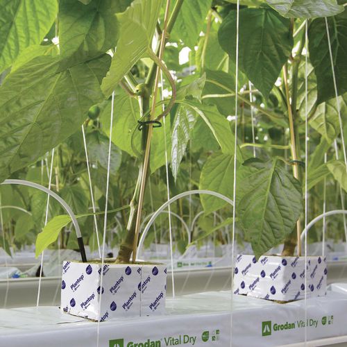 种植袋 - VITAL DRY - GRODAN