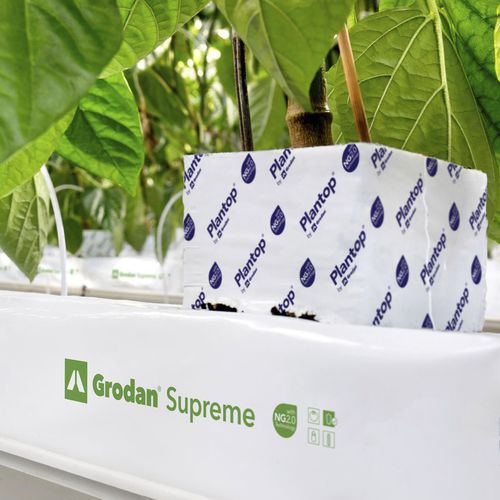 种植袋 - SUPREME - GRODAN