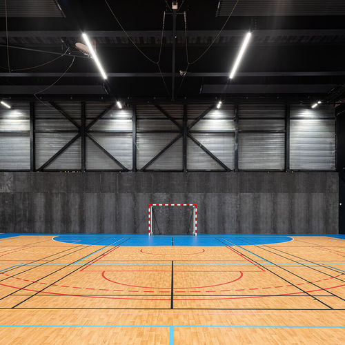 室内运动地板 - OMNISPORTS ACTIVE + - Tarkett PROFESSIONAL - 乙烯基 / 专业 / 声学