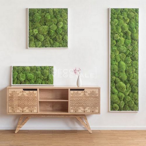 稳定植物画框 - GREEN STAR - deco-vegetale - 树叶 / 苔藓 / 室内