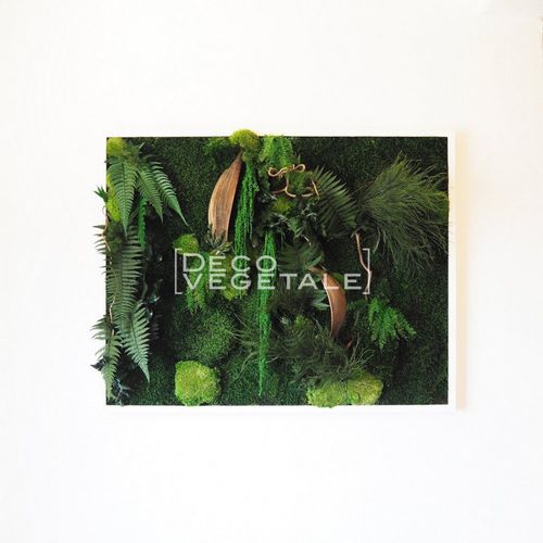 稳定植物画框 - GARDENERS BAY - deco-vegetale - 天然 / 树叶 / 室内