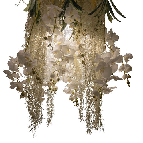 原创设计枝形吊灯 - PHALAENOPSIS - VGnewtrend - 喷漆钢 / 穆拉诺玻璃 / 6灯泡