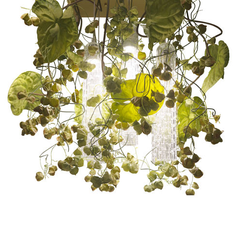 原创设计枝形吊灯 - PHYSALIS ANTHURIUM - VGnewtrend - 喷漆钢 / 穆拉诺玻璃 / 6灯泡